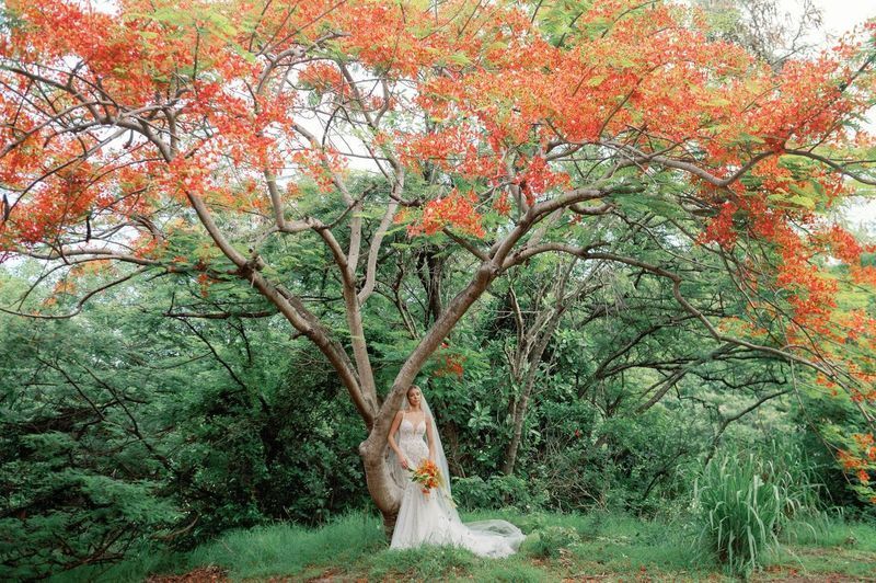 A woman in a wedding dress is standing under a tree with red flowers.