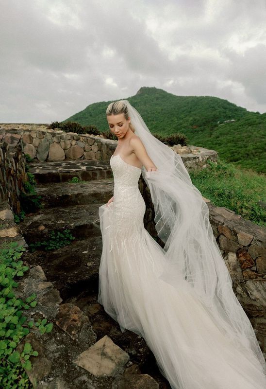 The bride is wearing a long veil and a wedding dress.