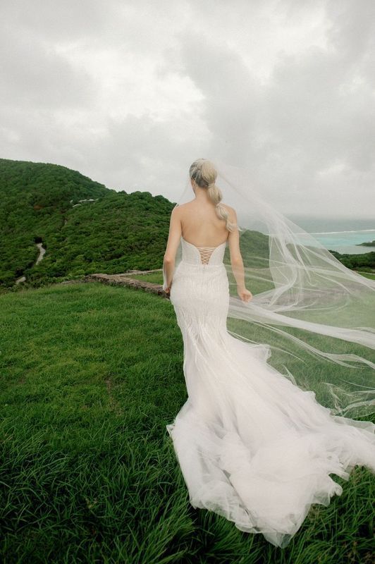 A bride in a wedding dress and veil is standing in a grassy field.