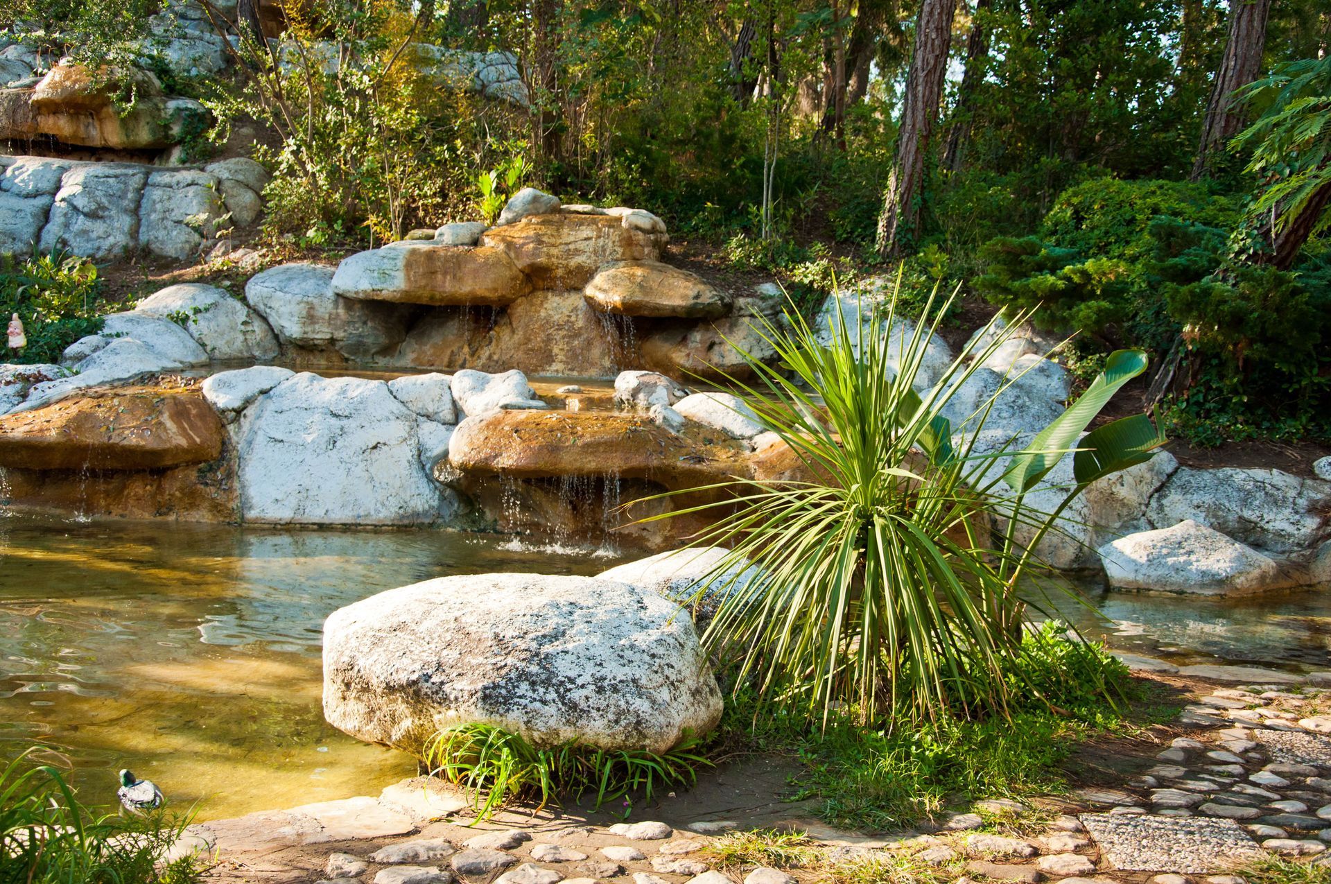 landscaping