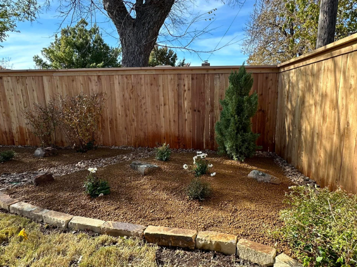 Small backyard garden bed with young shrubs, mulch, stone edging, and a wooden fence.