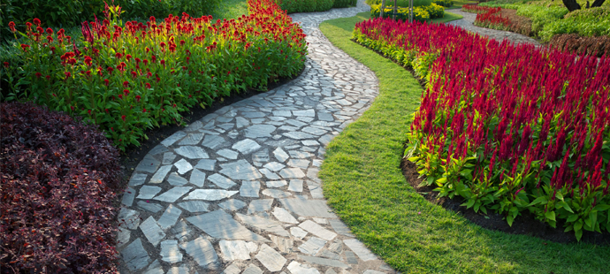 Pathway with red flowers on the side