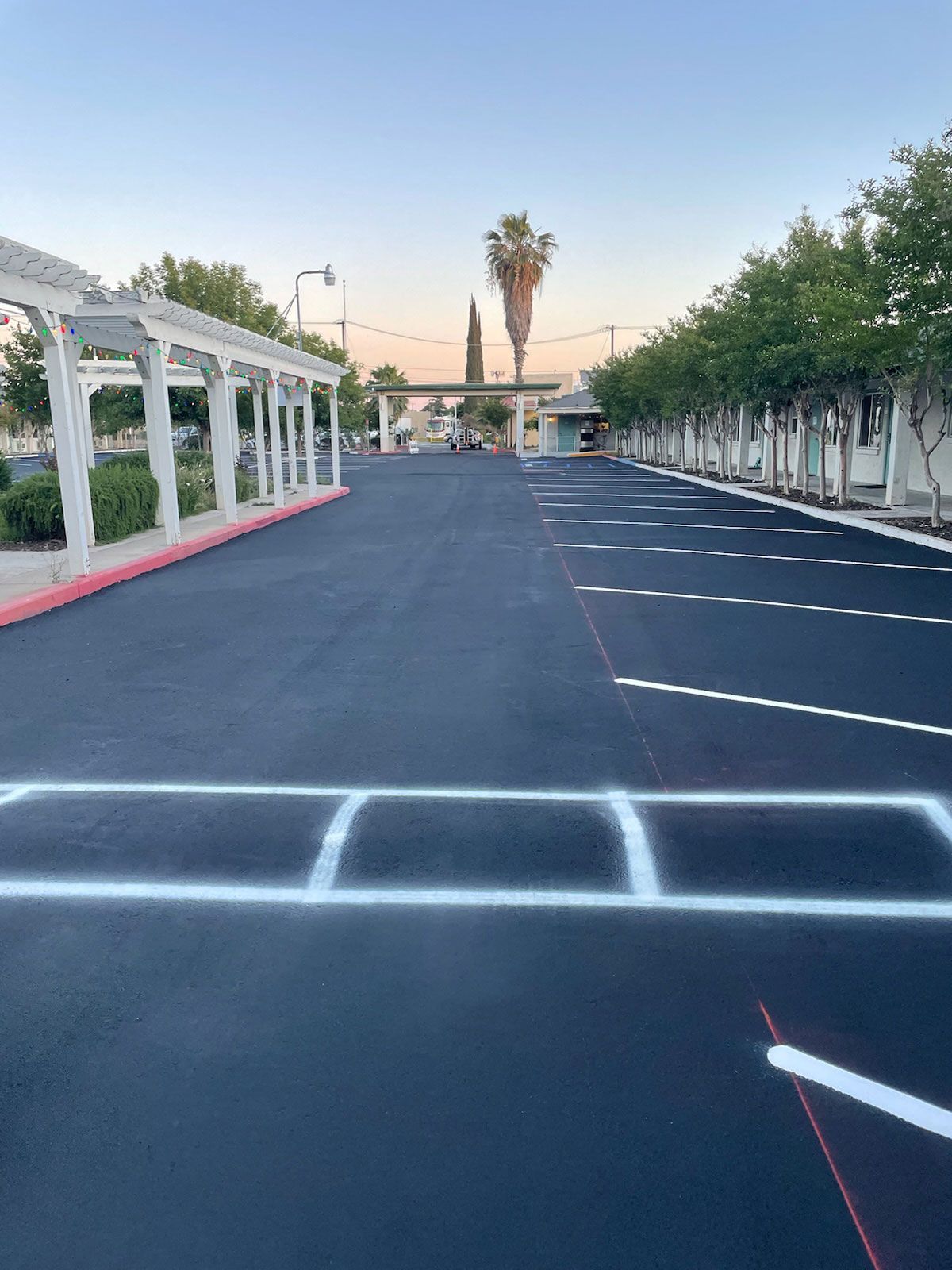 A parking lot with a row of trees on the side of it.