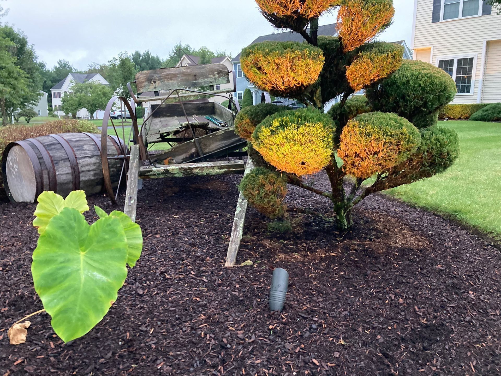 A decorative garden scene with an old wooden cart, barrel, and topiary with green and yellow hues.