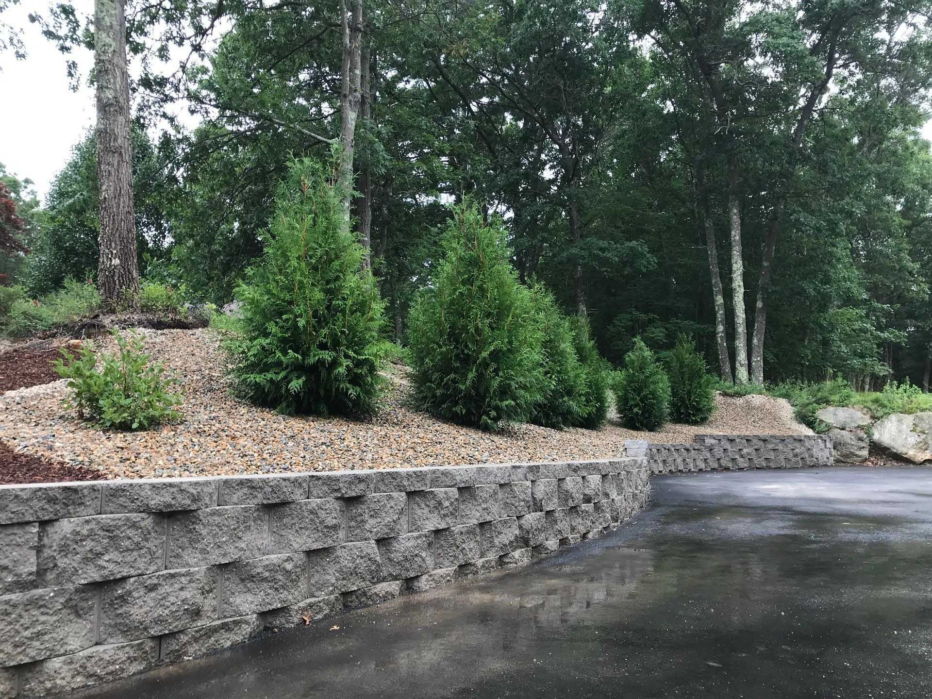 Stone retaining wall with trees and shrubs along a curved driveway.