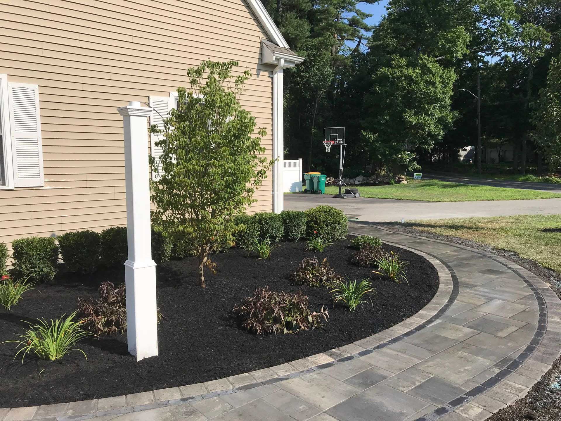Landscaped front yard with mulch, pavers, shrubs, and a tree.