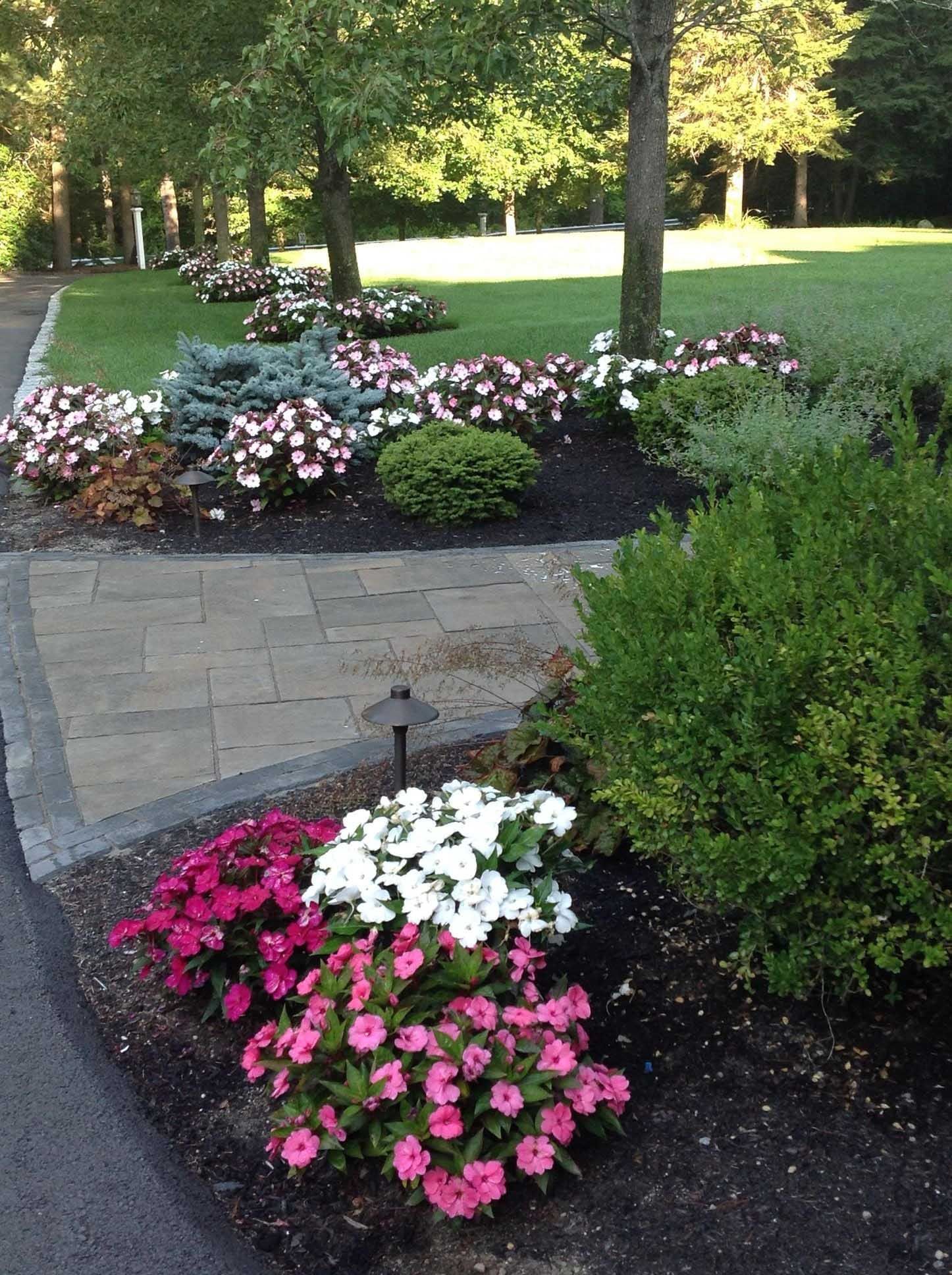 Row of colorful impatiens flowers alongside a brick path, surrounded by bushes and trees.