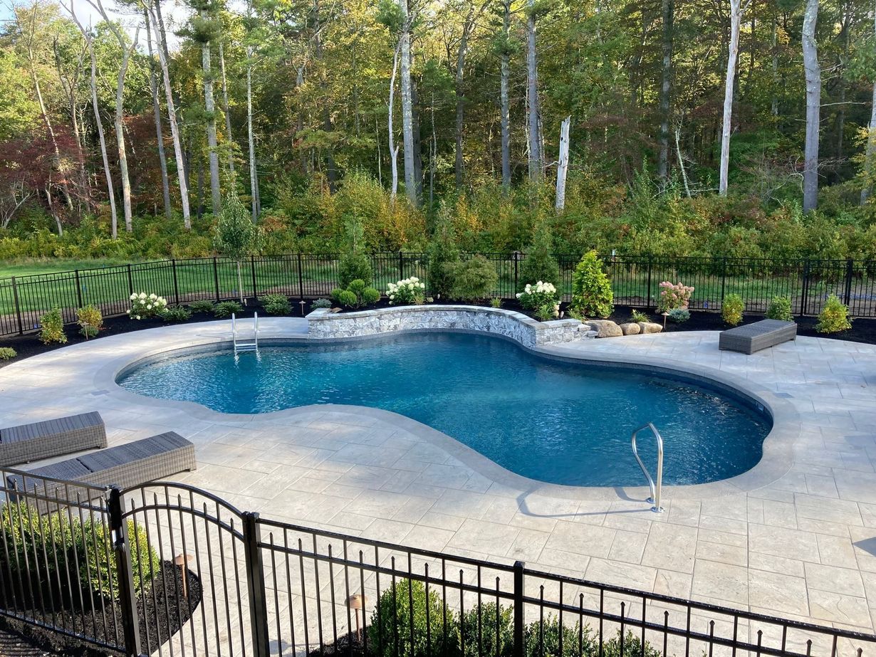 Pool in a backyard setting with a dark metal fence, surrounded by landscaping and trees.