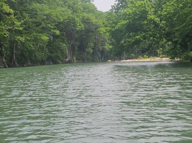 A river with trees on both sides of it