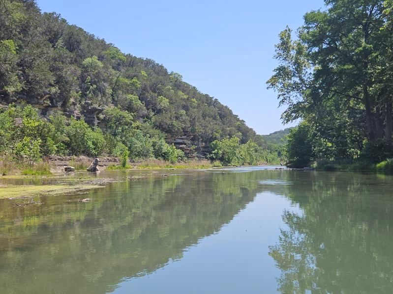 A river surrounded by trees and mountains on a sunny day