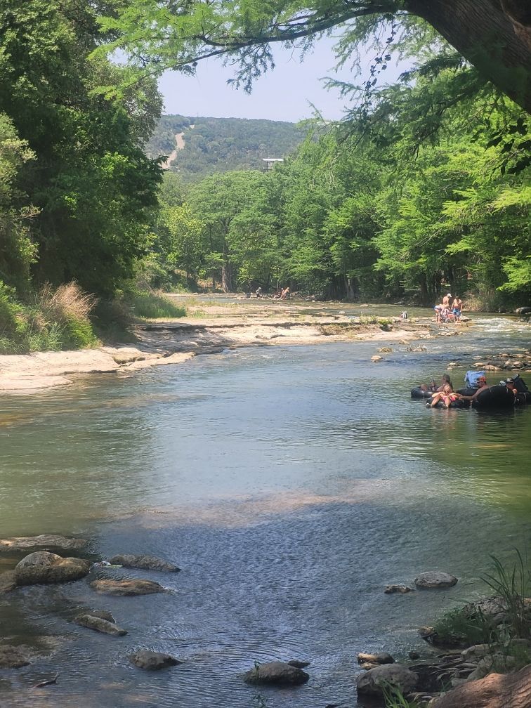 A river surrounded by trees and rocks on a sunny day