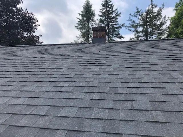 A roof with a chimney and trees in the background