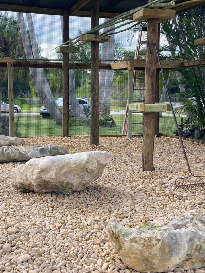 A rocky area with a ropes course in the background.