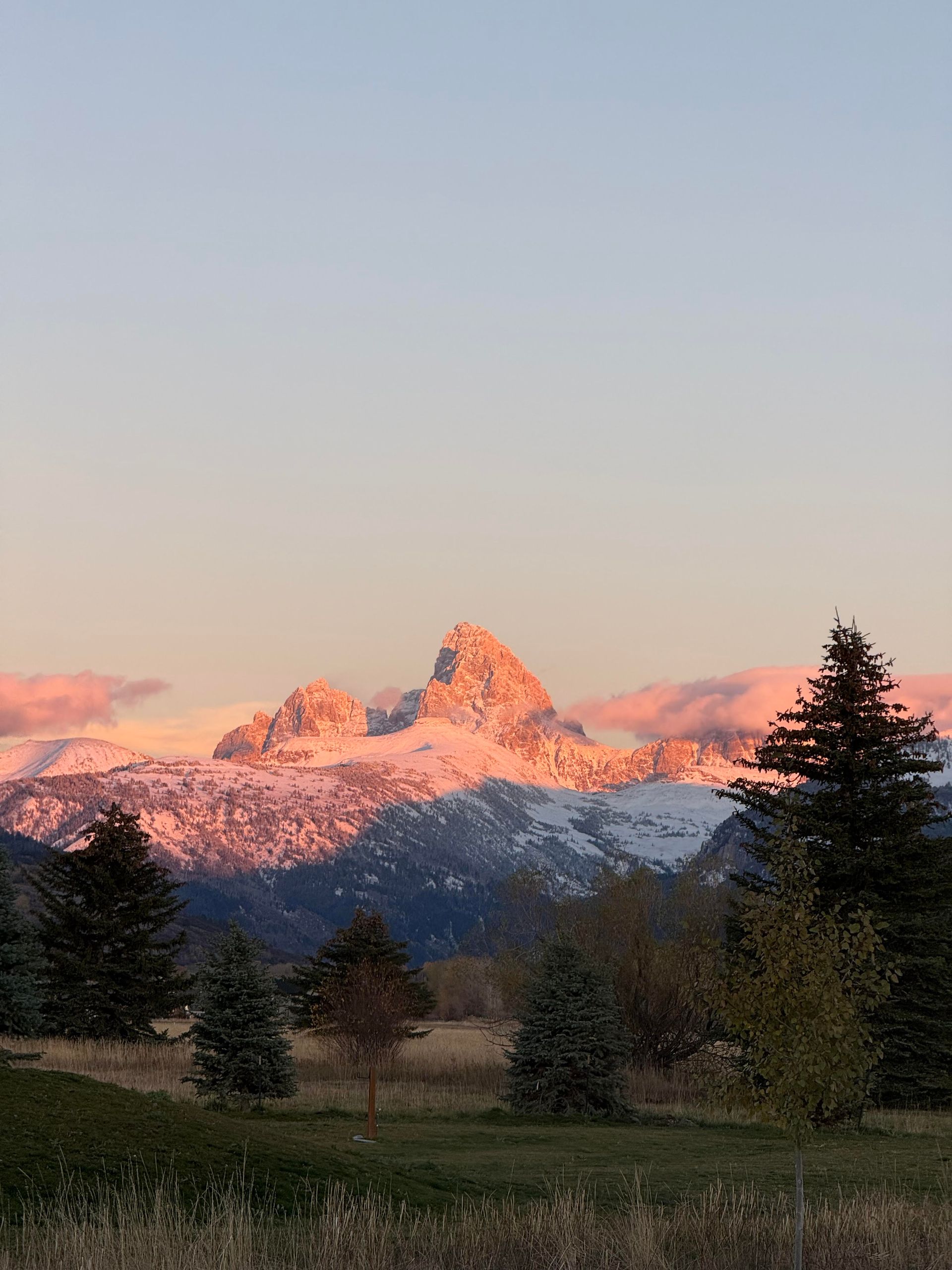Snowy mountain peaks glowing pink at sunrise above a dark forest and meadow