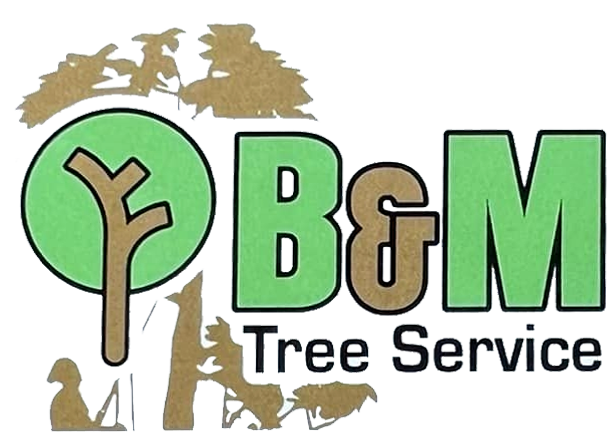 B & M Tree Service logo