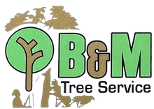 B & M Tree Service - logo