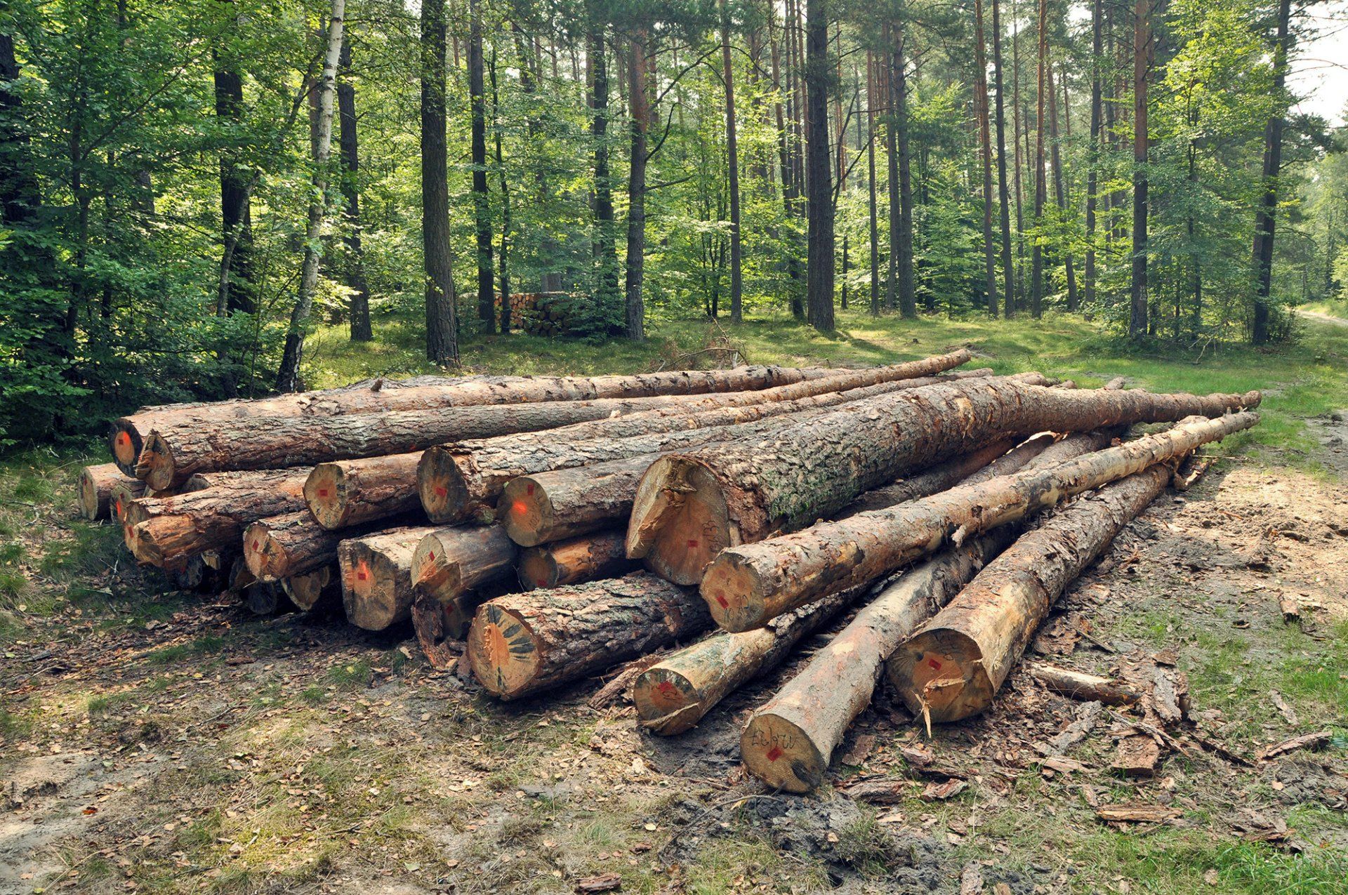 Pricing Waterloo Lumber Company LLC