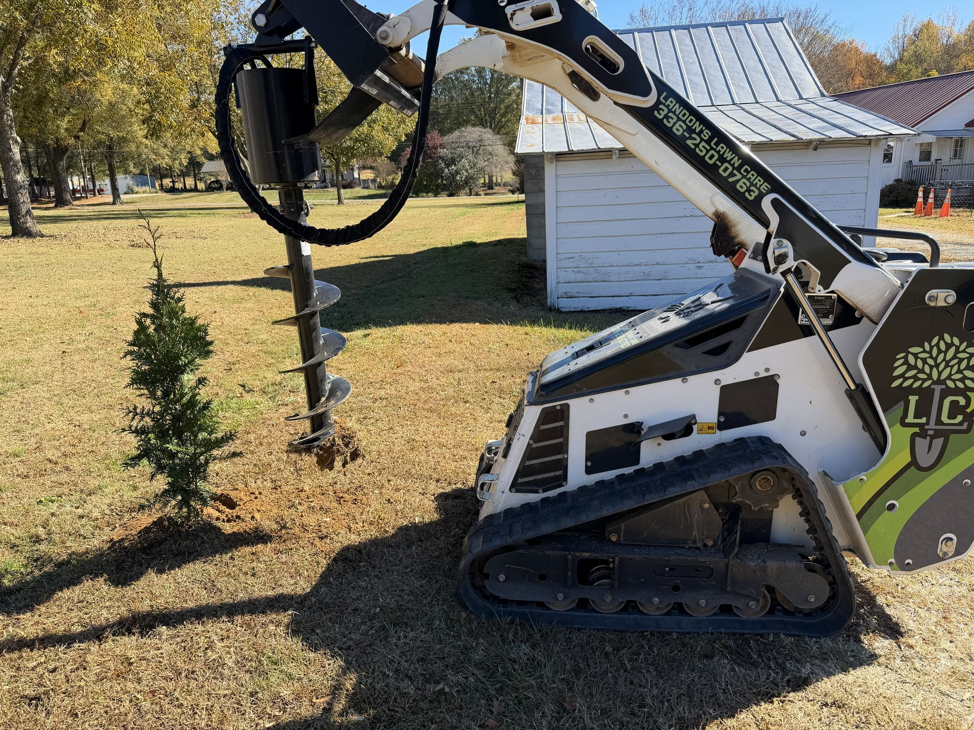 Bobcat skid steer with auger drilling a hole near a small tree in a yard.