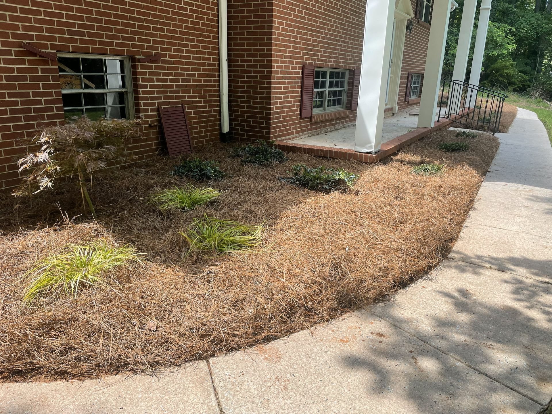 Brick building with brown mulch, green plants, and a concrete path.
