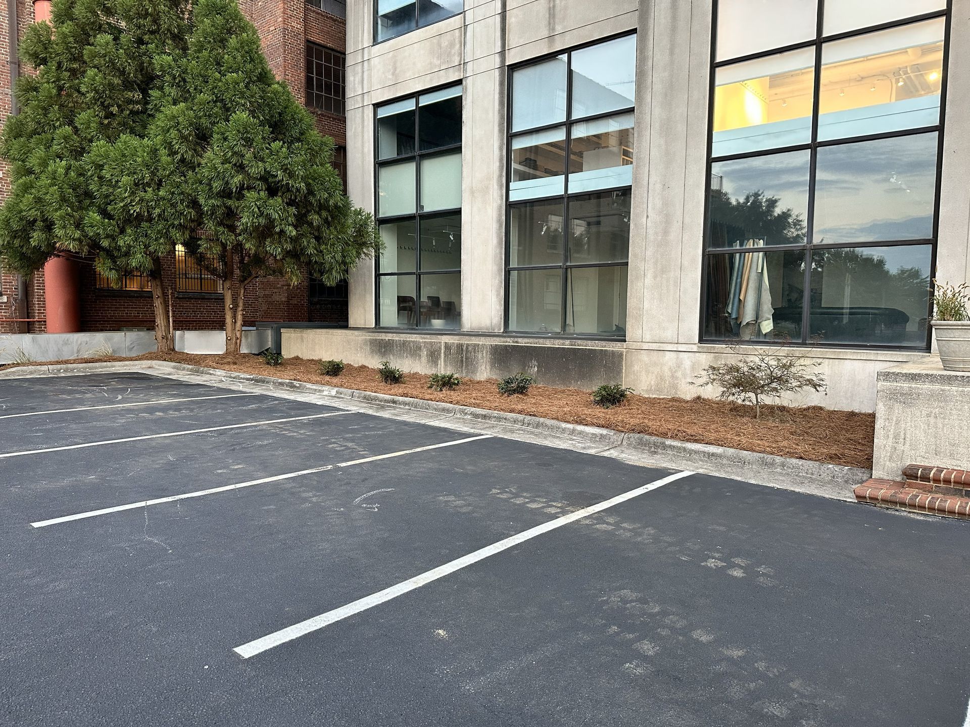 Parking lot in front of a building with large windows. There's a small tree, some landscaping, and clear parking space lines.