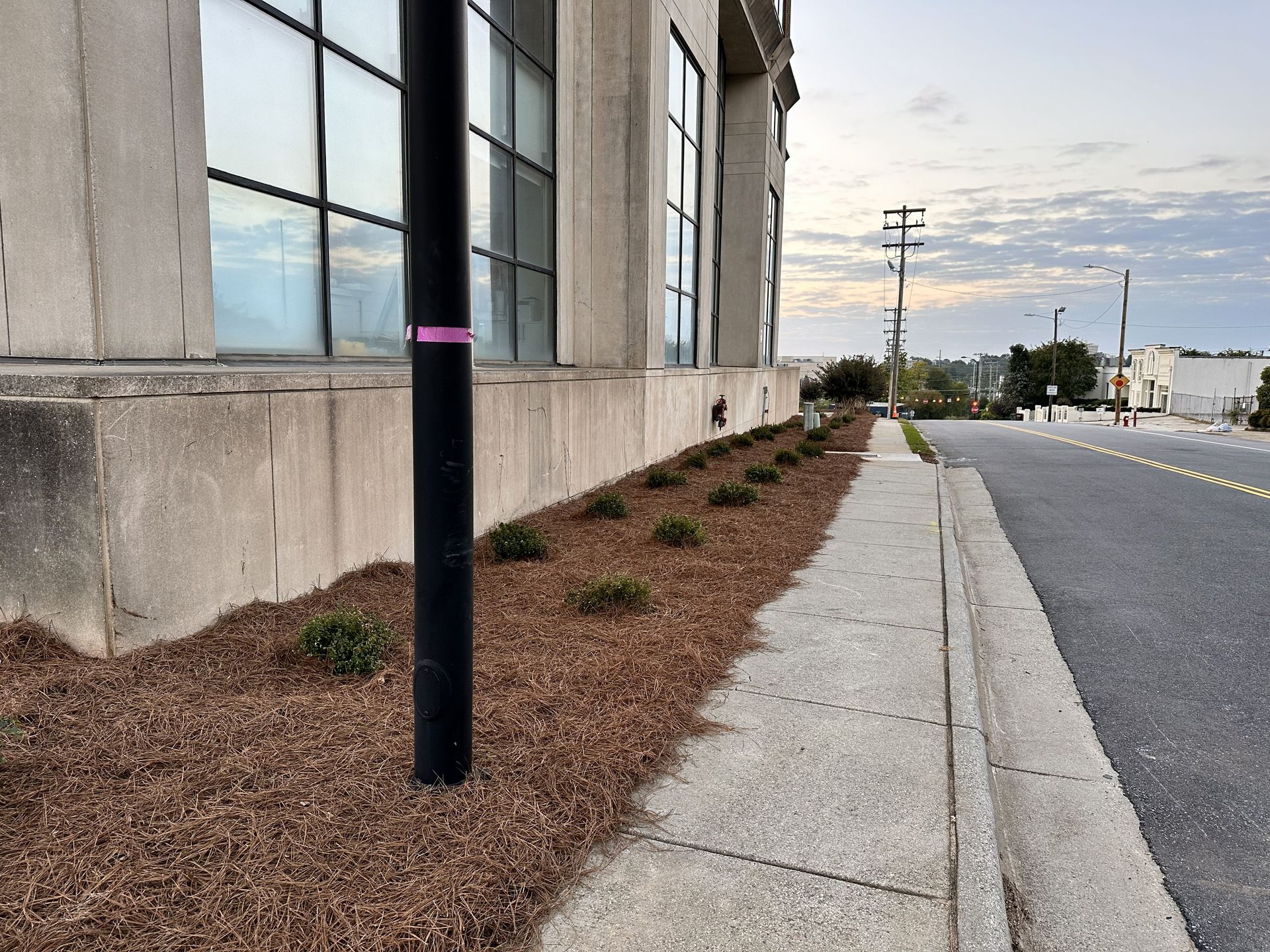 A sidewalk next to a street and a building with windows, with a row of shrubs and a black pole.