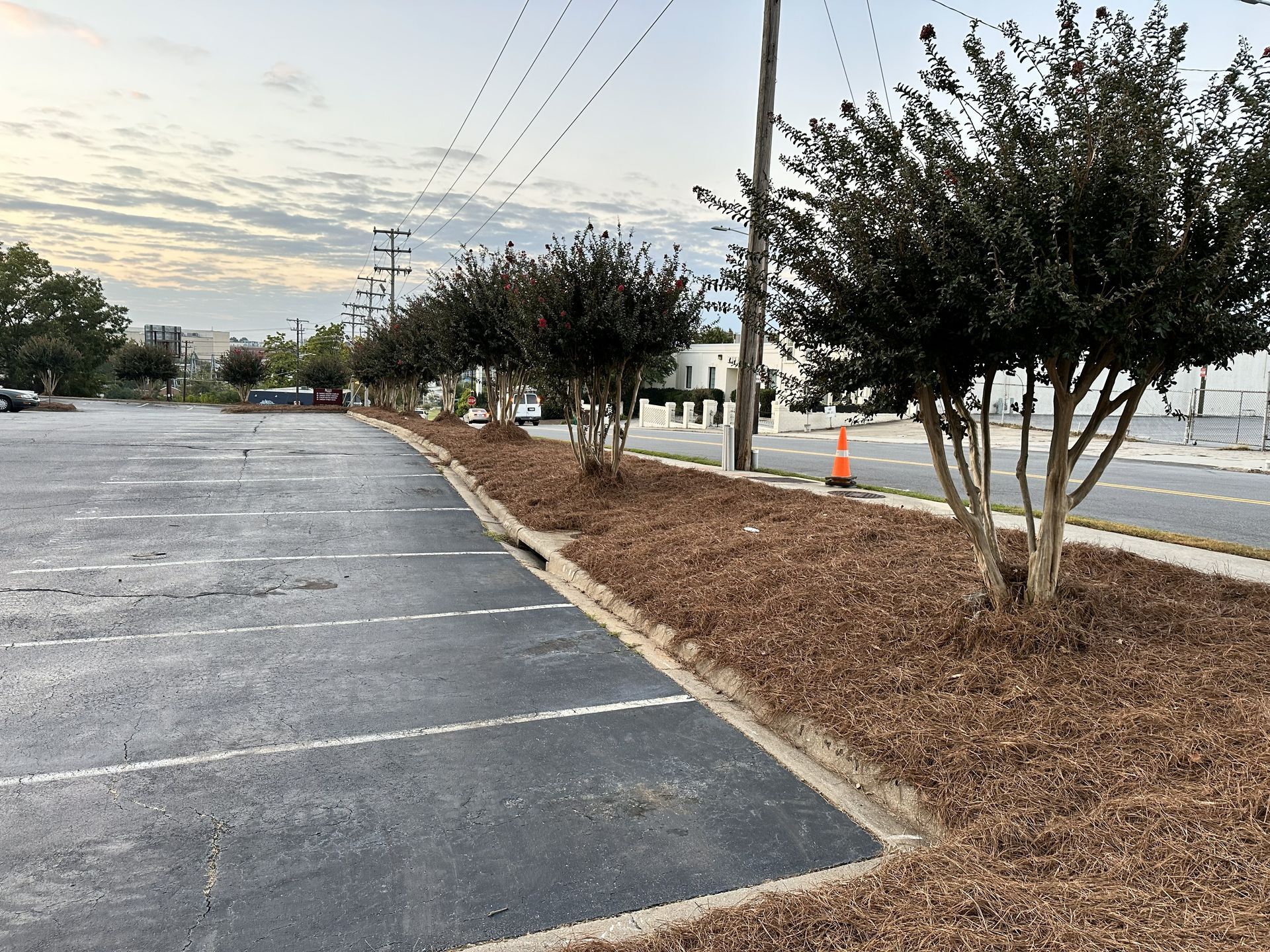 Parking lot with line of trees in mulch bed along the road, under overcast sky.