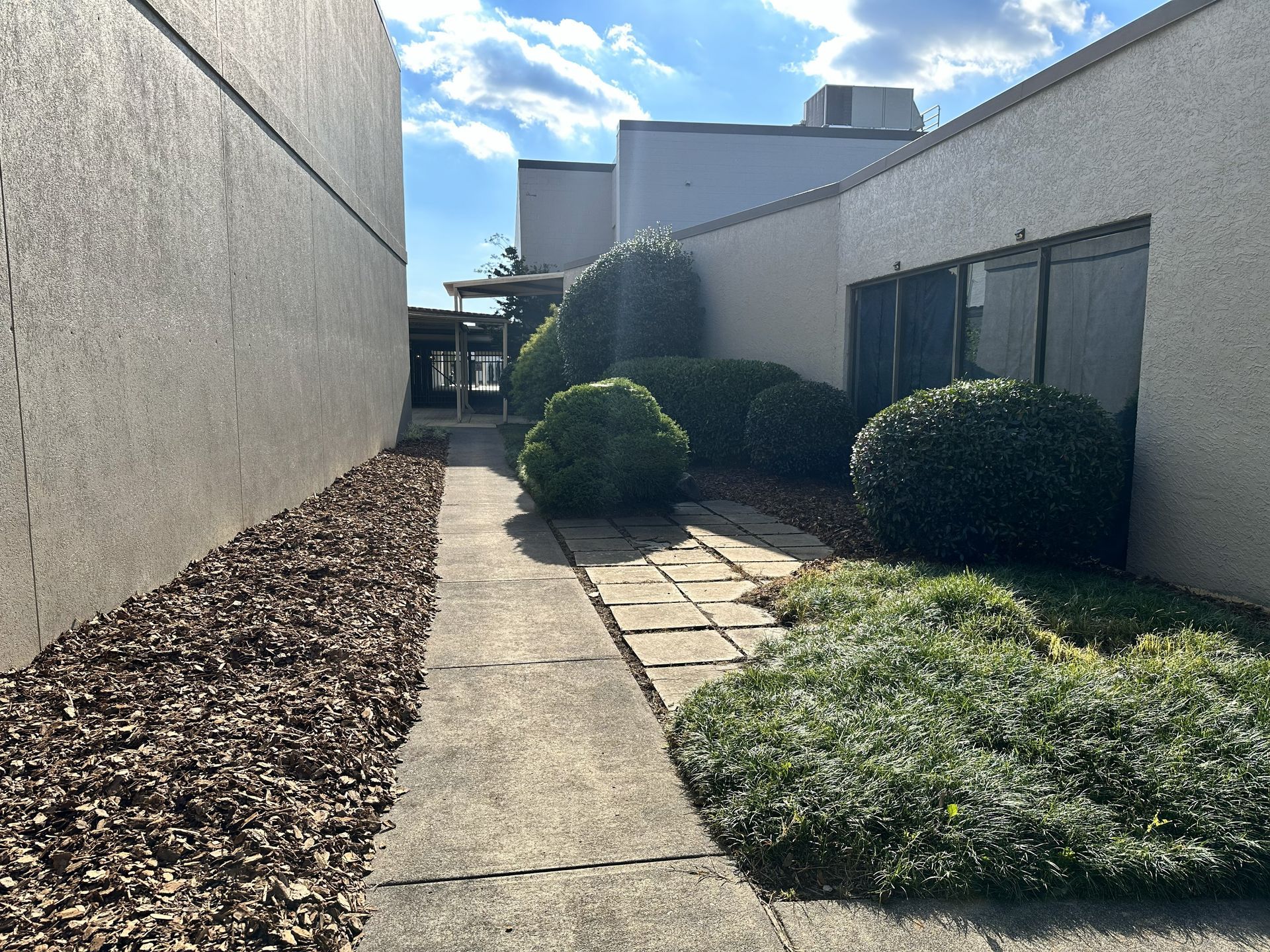 Pathway between buildings with landscaping, sunny sky.