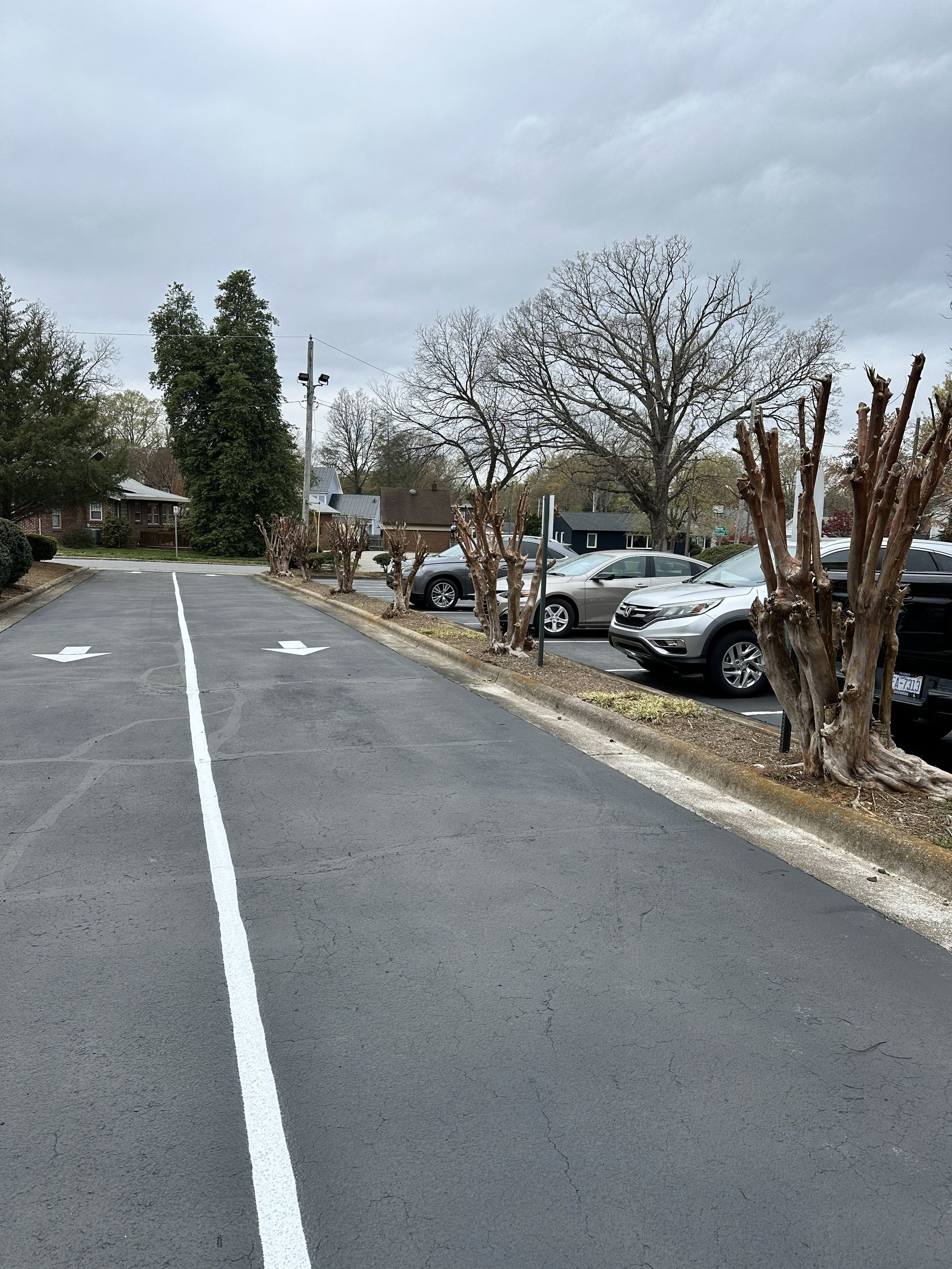 Asphalt parking lot with cars parked to the right. Bare trees line the parking area with a white stripe down the center. Cloudy sky.
