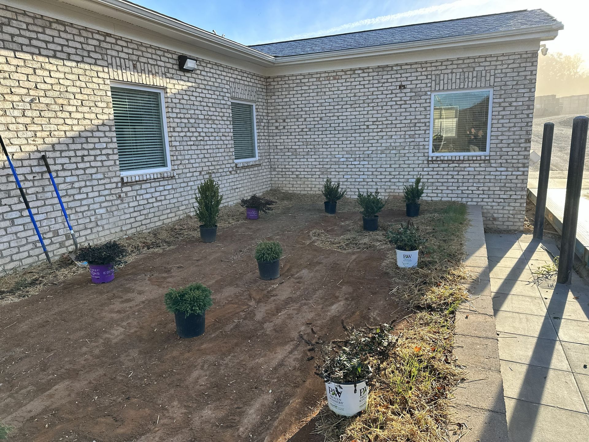 A corner of a building with a newly planted garden. Green plants are in pots on the dirt ground.