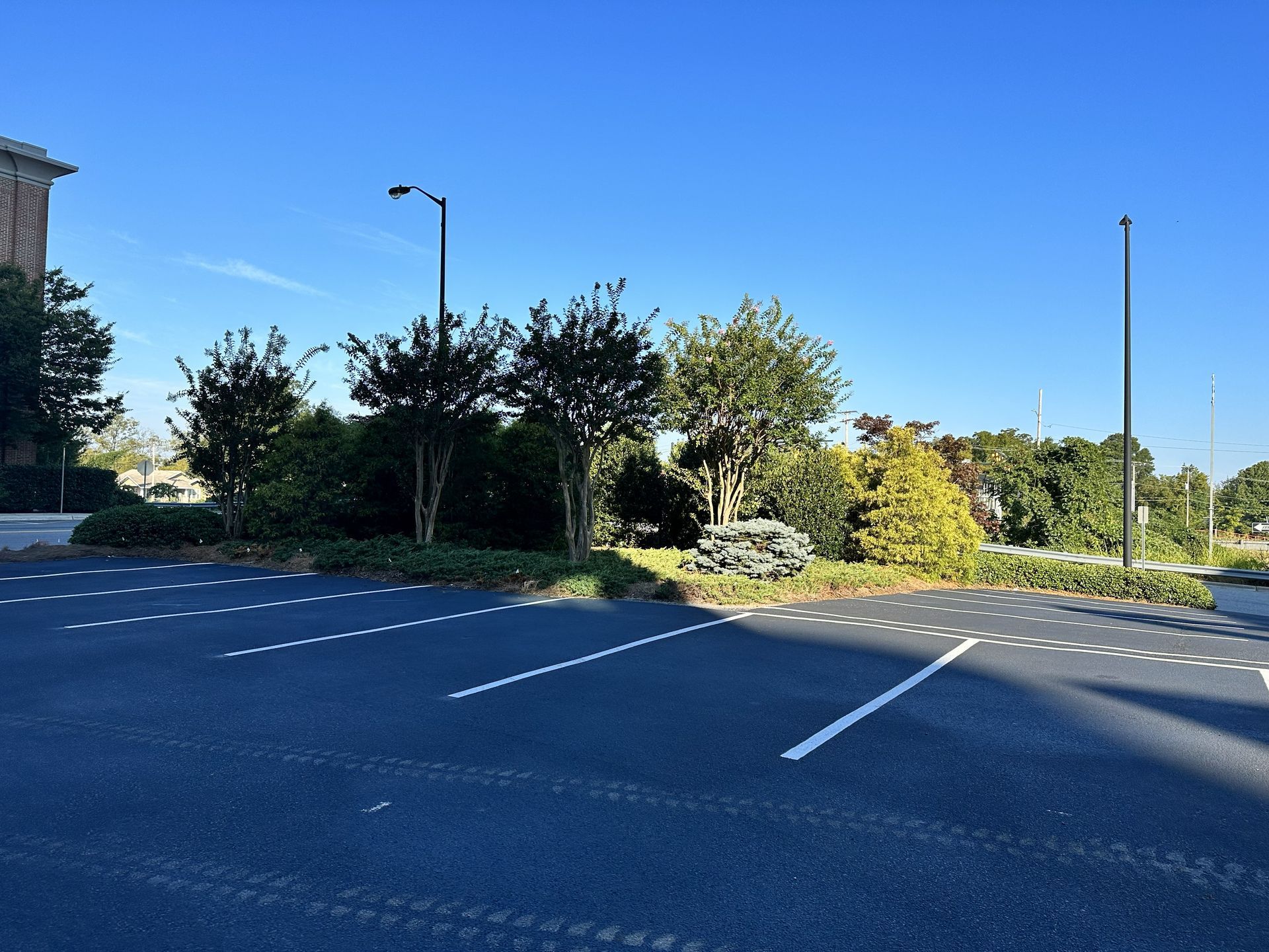Empty parking spaces with landscaping in the background under a blue sky.