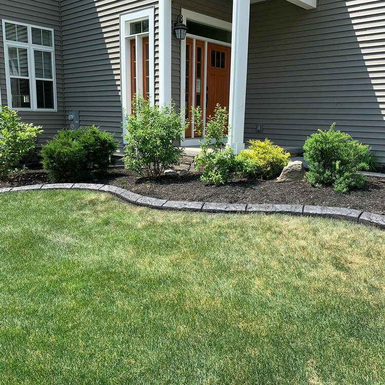 the front of a house with a lush green lawn and shrubs in front of it .