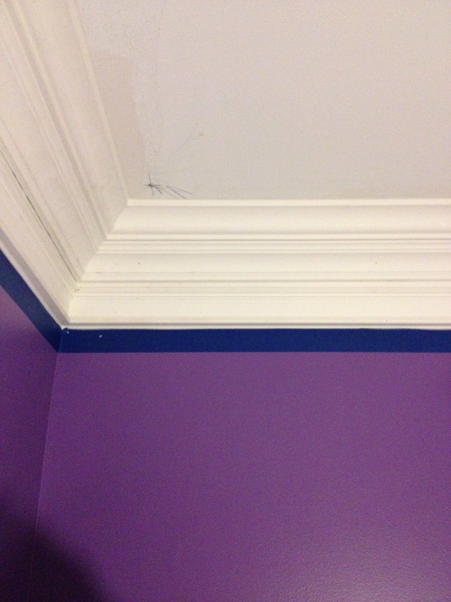 a room with purple walls and white trim on the ceiling