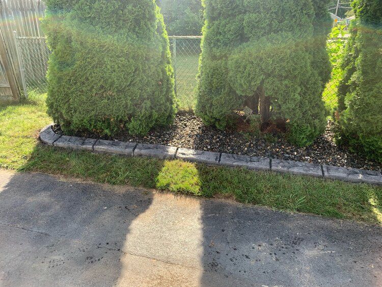 a shadow of a person is cast on the sidewalk in front of a row of trees