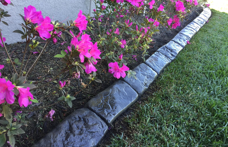 a row of pink flowers growing in a garden next to a stone border