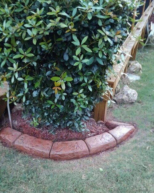 a brick border around a tree in a yard