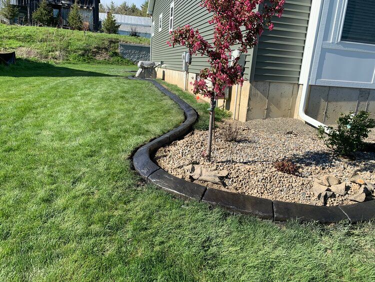 a lawn with a curb and a tree in front of a house