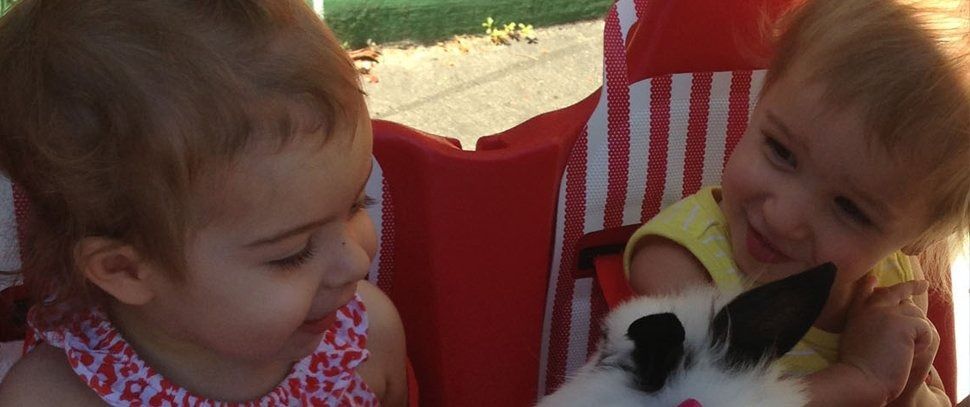 Two toddlers interact with a rabbit in a red and white striped stroller.
