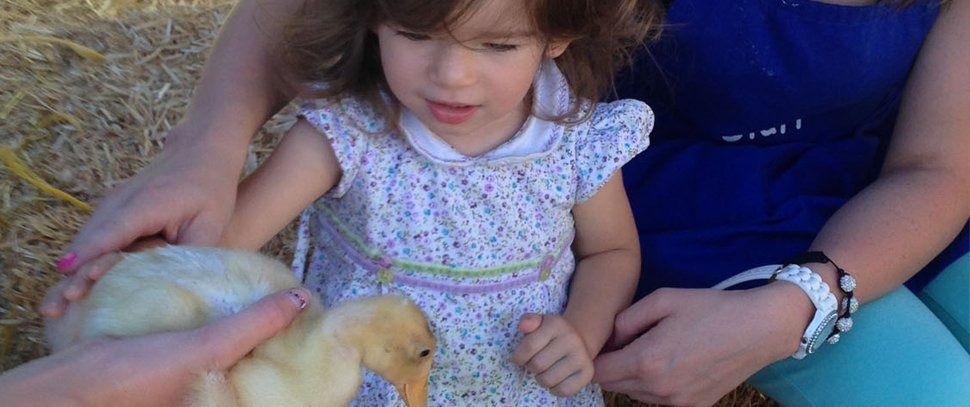 A child and adult pet a yellow duckling on straw. The girl wears a floral dress.