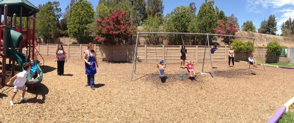 Children playing on playground equipment at park.