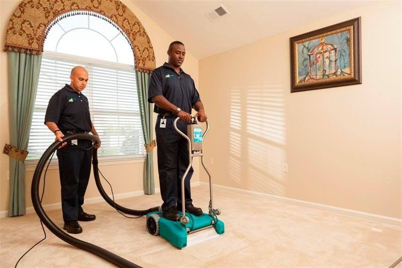 Two men cleaning a beige carpet with an industrial cleaner in a room with a window and artwork.