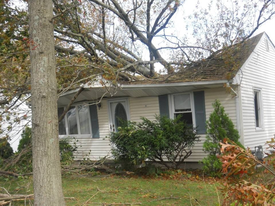 A tree has fallen on the roof of a white house. Branches cover the roof. Green lawn.