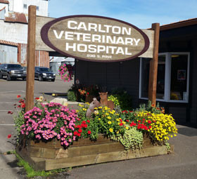 veterinary hospital