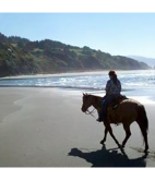 Woman on a horse by the beach