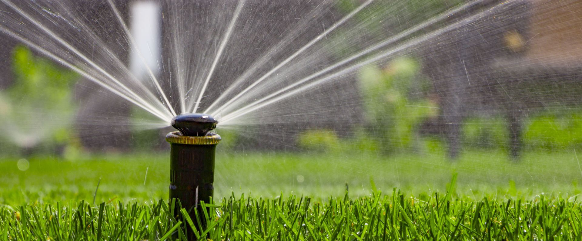 Sprinklers