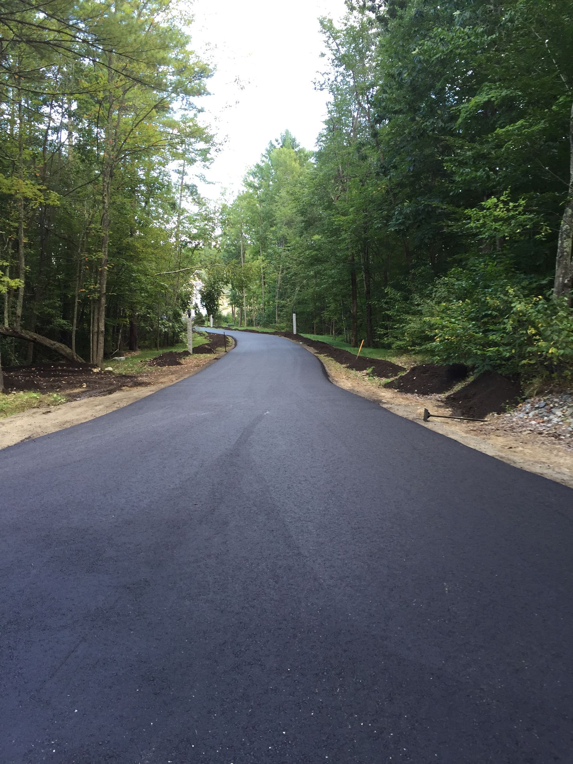 a black asphalt road surrounded by trees and bushes