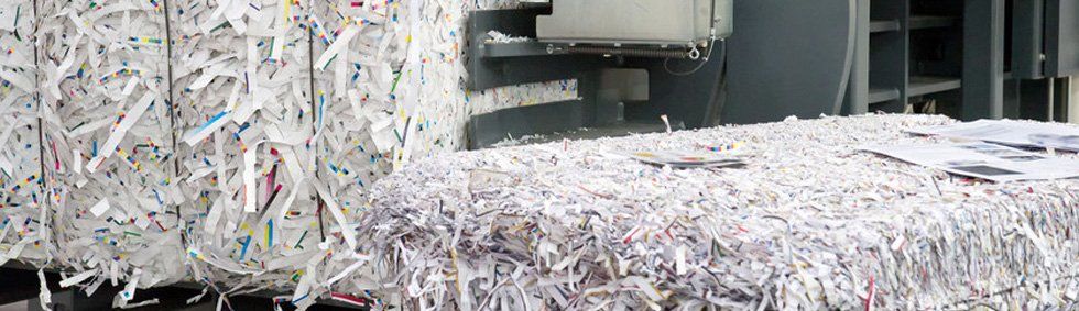 document shredding service