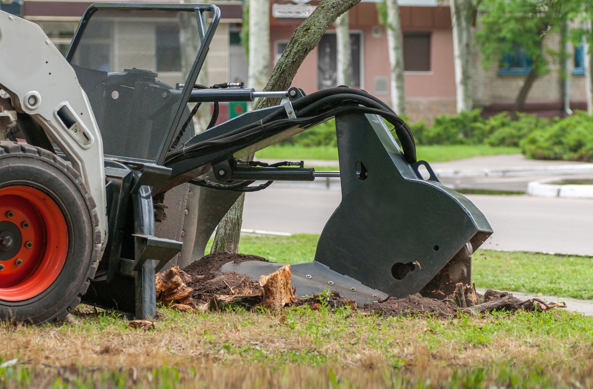 Stump grinding
