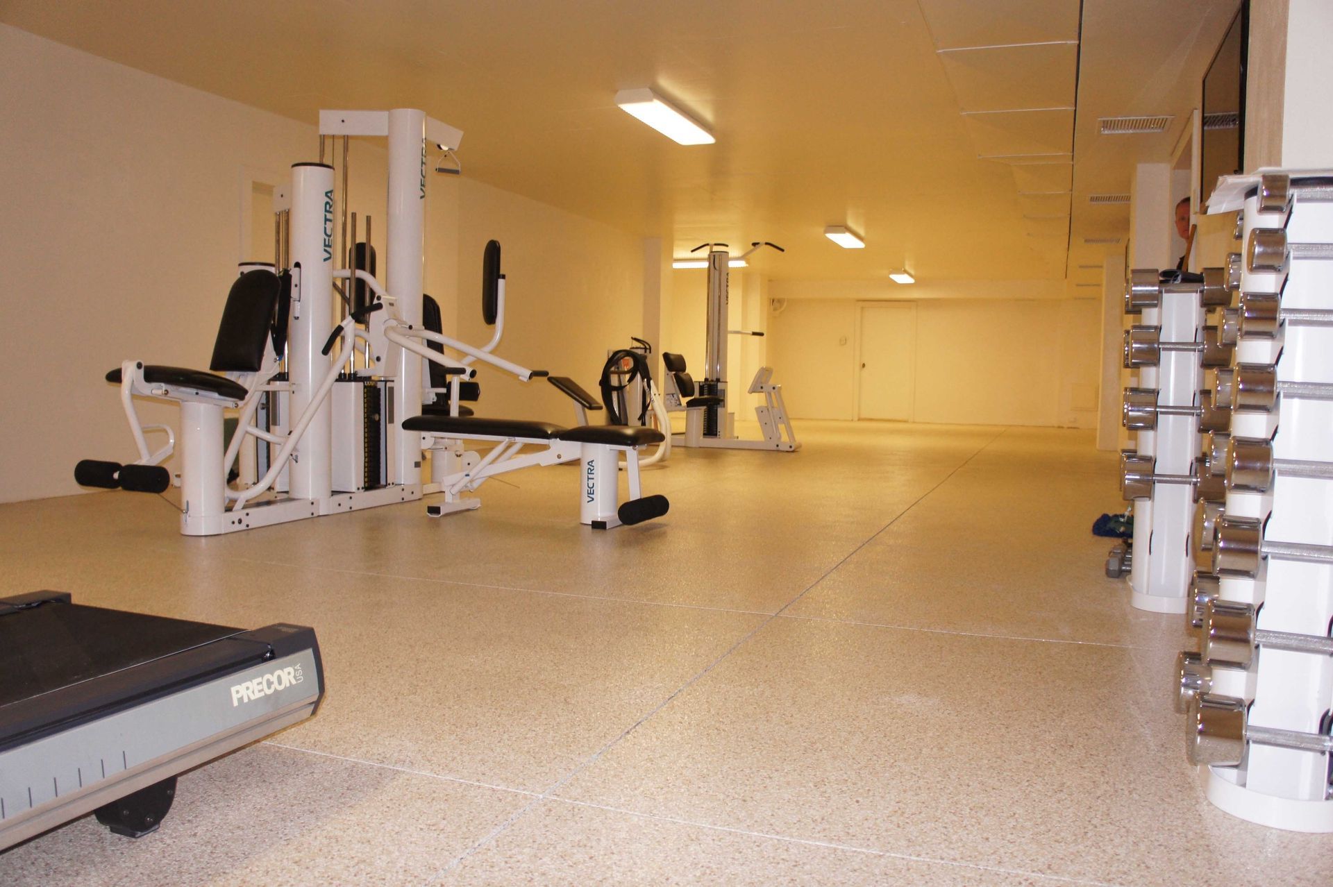 Gym interior with exercise machines, dumbbells, and a treadmill on speckled flooring.