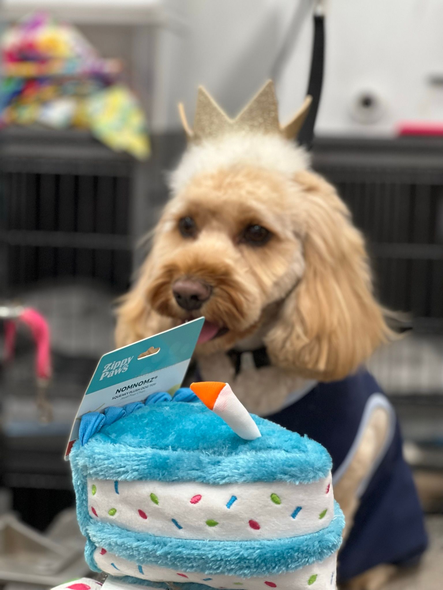 Birthday cake plushie