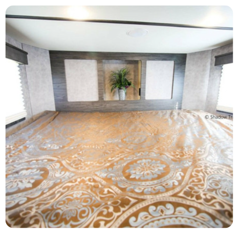 A room with a rug and a plant on the wall